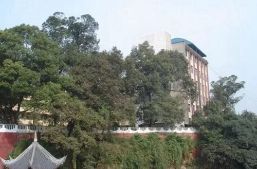 樂(lè)山草堂高中校園風(fēng)光1