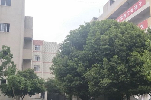 大邑縣實驗中學(xué)校園環(huán)境