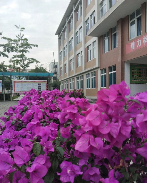 大邑縣實驗中學(xué)校園綠化
