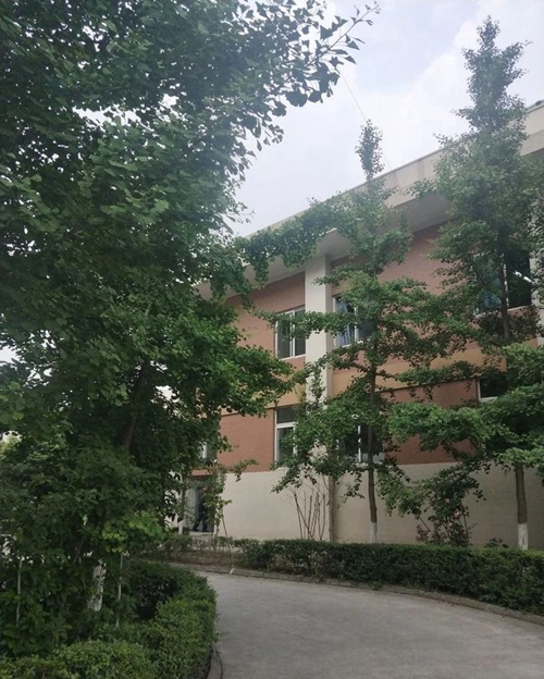 大邑縣實驗中學(xué)校園綠樹