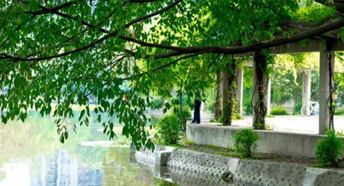 成都恩光美術(shù)學校校園環(huán)境1