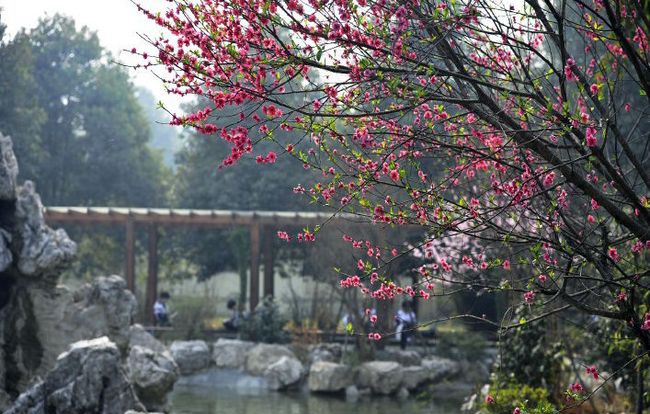 成都外國語學(xué)校國際部(AP國際課程)中華園