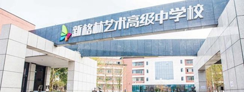 龍泉驛區(qū)新格林藝術高級中學校門