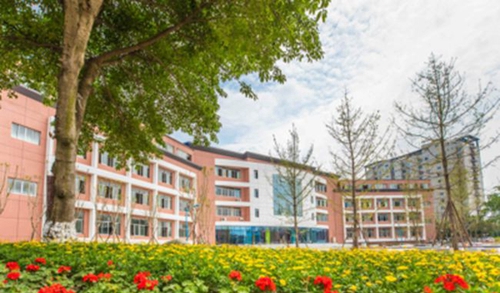 龍泉驛區(qū)新格林藝術高級中學校園風景