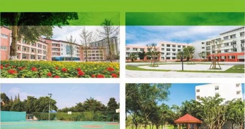 龍泉驛區(qū)新格林藝術高級中學校園景色