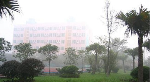 成都石室佳興外國語實驗學校校園環(huán)境