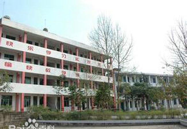 嘉陵區(qū)大通中學學校