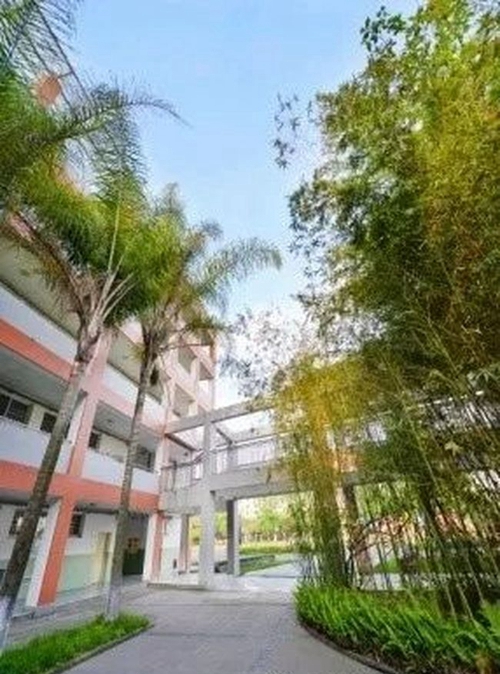 四川師范大學(xué)附屬中學(xué)教學(xué)樓通道