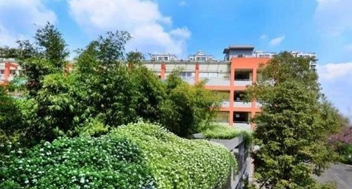 四川師范大學(xué)附屬中學(xué)綠化