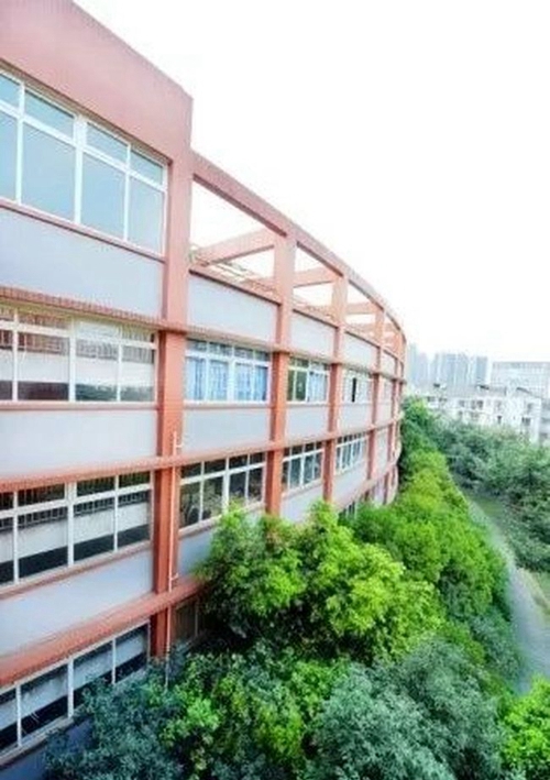 四川師范大學(xué)附屬中學(xué)校園綠化