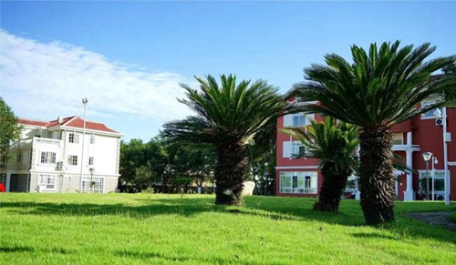成都城投驛都·美中國際GIA學(xué)校校園綠化