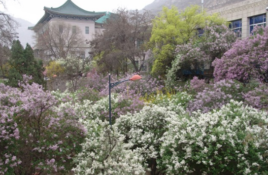 校園環(huán)境 (11)