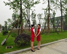 學(xué)校環(huán)境