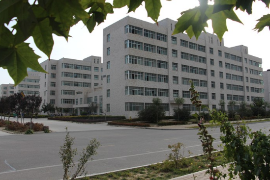 校園環(huán)境 (15)