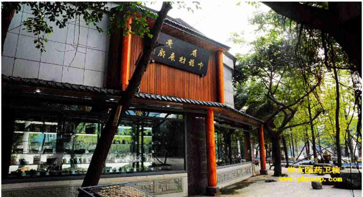 相冊(cè)