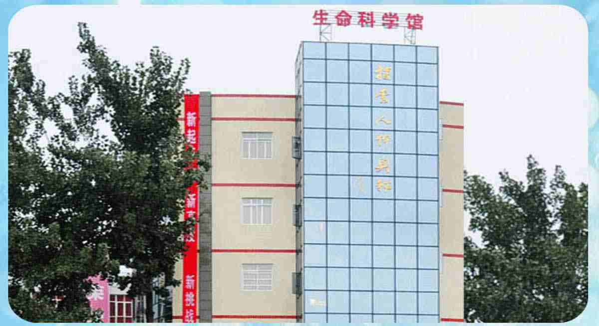 相冊(cè)
