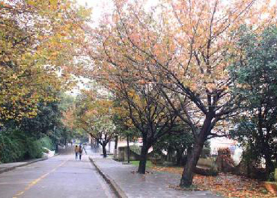 貴州交通職業(yè)技術(shù)學(xué)院