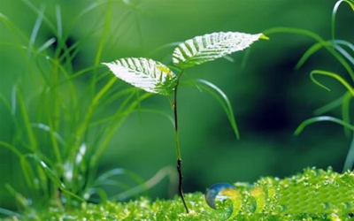核工業(yè)成都機(jī)電學(xué)校2025年招生專業(yè)匯總