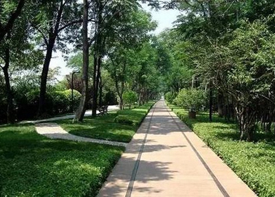 四川會理現(xiàn)代職業(yè)技術學校2025年招生專業(yè)匯總