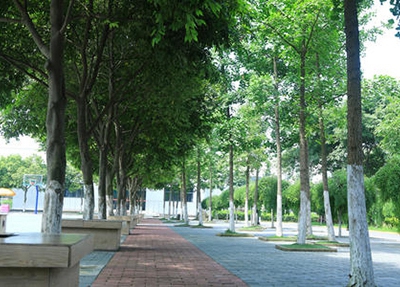 成都城市建設(shè)技工學(xué)校2025年有那些招生專業(yè)？