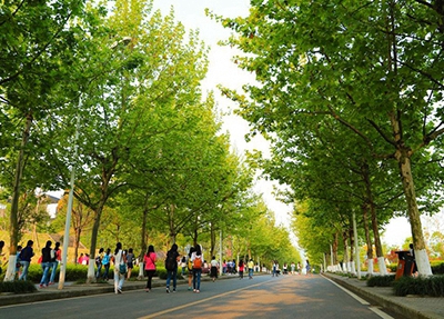 沈陽(yáng)醫(yī)學(xué)院附屬衛(wèi)生學(xué)校招生專業(yè)