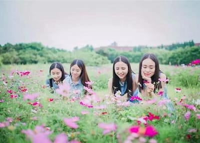 云南司法警官職業(yè)學(xué)院2023年招生專業(yè)?學(xué)費(fèi)標(biāo)準(zhǔn)