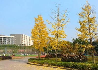 石屏縣職業(yè)高級中學(xué)2023年招生專業(yè)?學(xué)費(fèi)標(biāo)準(zhǔn)