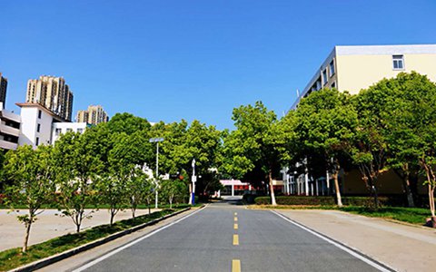 隆昌金成職業(yè)學(xué)校2023年招生專業(yè)有哪些
