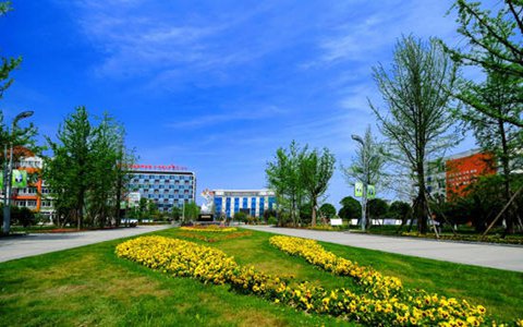 浙江東方職業(yè)技術(shù)學(xué)院投資與理財專業(yè)到底行不行?設(shè)有哪些課程