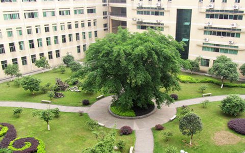 汕頭大學(xué)2022年有哪些專業(yè)-哪些比較好