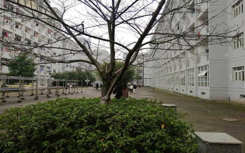 浙江交通職業(yè)技術(shù)學(xué)院船機(jī)制造與維修專業(yè)怎么樣?都要學(xué)些什么?