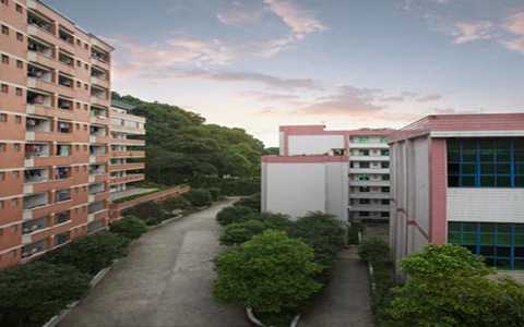 浙江工貿(mào)職業(yè)技術(shù)學(xué)院電子商務(wù)專業(yè)到底行不行?設(shè)有哪些課程