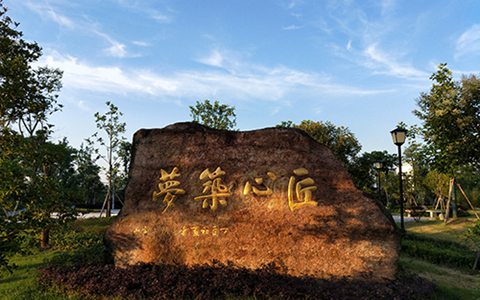 浙江交通職業(yè)技術(shù)學(xué)院國際航運業(yè)務(wù)管理專業(yè)都學(xué)些什么?