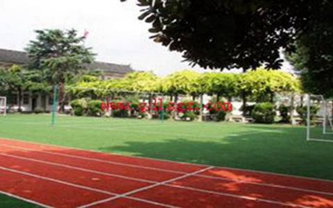 義烏工商職業(yè)技術(shù)學(xué)院國(guó)際商務(wù)專業(yè)可以選擇哪些就業(yè)方向