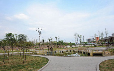 成都市衛(wèi)生學校什么專業(yè)比較好