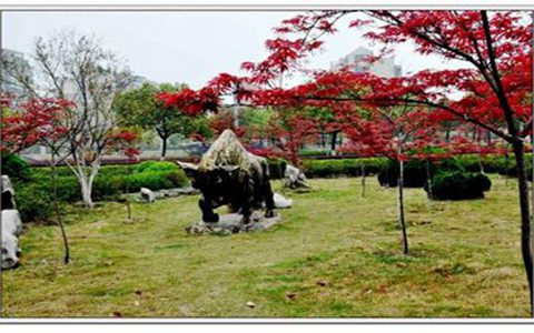 四川省達(dá)州財貿(mào)學(xué)校專業(yè)報名收費貴不貴