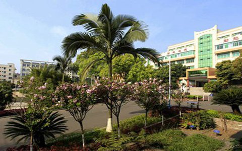 麗江市技工學(xué)校