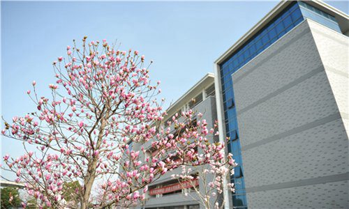 杭州蕭山區(qū)第二中等職業(yè)學(xué)校2023年招生專業(yè)