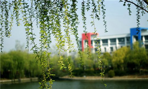 北京京北職業(yè)技術學院2022年招生要求是什么?招多少人-怎么樣