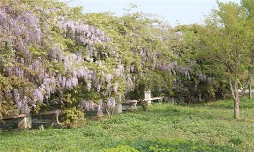 杭州蕭山區(qū)第三中等職業(yè)學(xué)校2023年招生要求是什么?招多少人