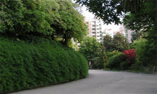臺州科技職業(yè)學(xué)院五年制大專專業(yè)介紹