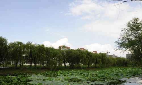 漳州科技職業(yè)學(xué)院網(wǎng)絡(luò)營(yíng)銷專業(yè)招生介紹