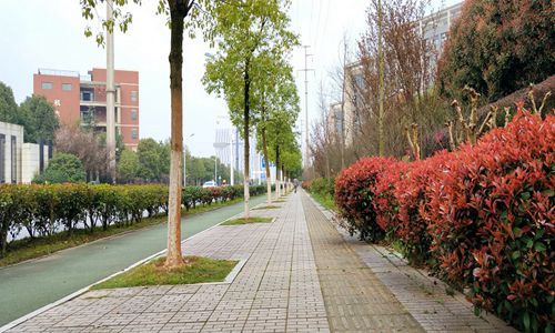 浙江經(jīng)貿(mào)職業(yè)技術(shù)學(xué)院物流管理專業(yè)招生介紹