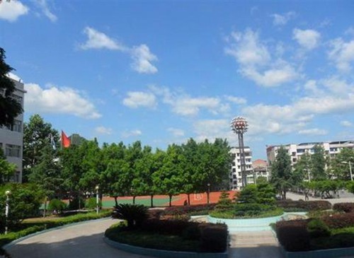 廈門軟件職業(yè)技術(shù)學院移動商務專業(yè)招生介紹