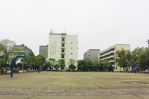 安徽國際商務(wù)職業(yè)學(xué)院旅游管理專業(yè)介紹