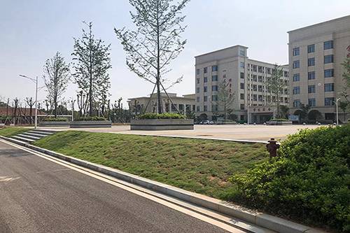 鄭州黃河護理職業(yè)學院護理（涉外方向）專業(yè)介紹