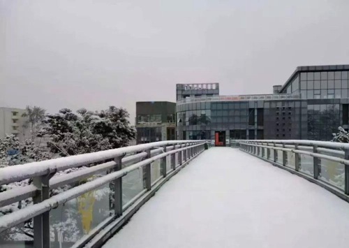 銅陵職業(yè)技術(shù)學(xué)院汽車營銷與服務(wù)專業(yè)介紹