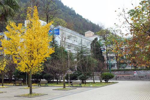 安徽電子信息職業(yè)技術(shù)學(xué)院計算機應(yīng)用技術(shù)專業(yè)介紹