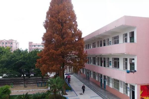 安徽電子信息職業(yè)技術(shù)學(xué)院汽車營(yíng)銷與服務(wù)專業(yè)介紹