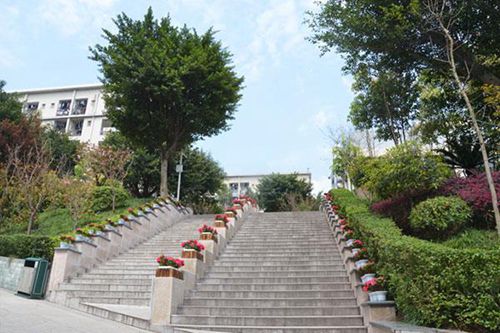 遼寧石化職業(yè)技術(shù)學(xué)院計(jì)算機(jī)網(wǎng)絡(luò)技術(shù)專業(yè)介紹